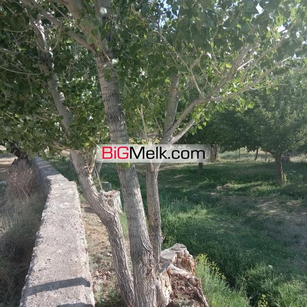 فروش باغ سیب ٢ هکتاری سعدآباد تبریز