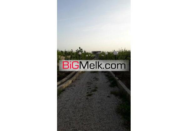 1000متر باغ بهترین نقطه سپیدان