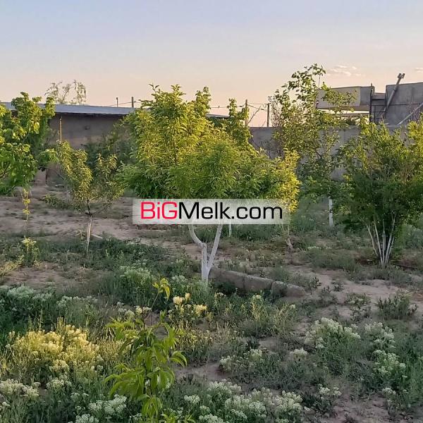 ۱۹۸۰ متر باغچه با ۱۴۰متر بنا آب برق گاز سند تک برگ رسمی