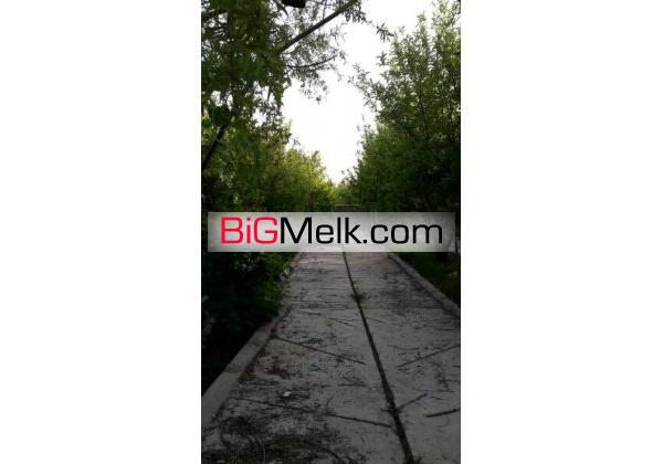 1000متر باغ بهترین نقطه سپیدان