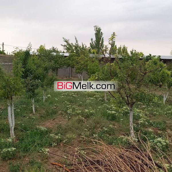 ۱۹۸۰ متر باغچه با ۱۴۰متر بنا آب برق گاز سند تک برگ رسمی