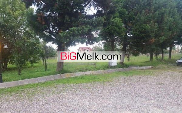 زمین 800 متری داخل شهرک قیمت مناسب | نور، مازندران. نور