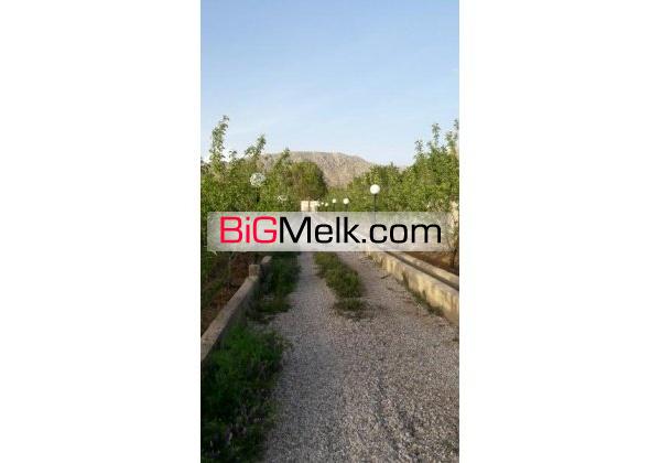 1000متر باغ بهترین نقطه سپیدان