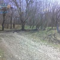 باغ خوانسار10 هزار متردر منطقه جنگاه