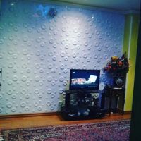 تردی پانل