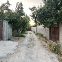 باغ ۲۳۳ متر