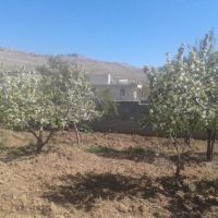 فروش باغ فارس،شیراز