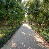 500 متر باغچه ی نقلی در ابعادی مناسب در  شهریار
