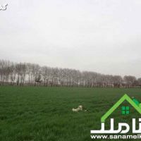 خرید و فروش زمین در خوشنام ملارد کد1311