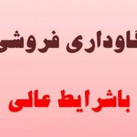 فروش گاوداری در زنجان 180.000 متر مربع بهر اتوبان
