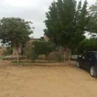 اجاره مزرعه کشاورزی