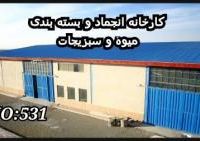 فروش کارخانه انجماد و بسته بندی میوه و سبزیجات-تهران-دارای وام