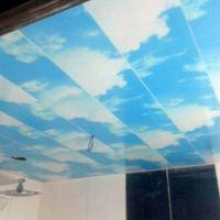نصب سقف سرویس بهداشتی در کرج