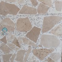 موزاییک لاشه پر طاووسی زمینه سفید و سنگ ریز مشکی