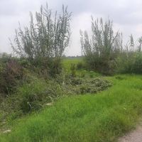 زمین کشاورزی