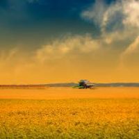 زمین کشاورزی167 هکتاری درپائین  هشتگرد