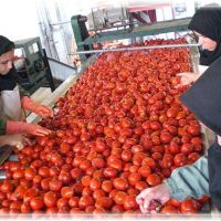 فروش کارخانه تولید و بسته بندی مواد غذایی رب گوجه فرنگی