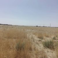 کارشناسی و جانمایی ملک در کرج و حومه