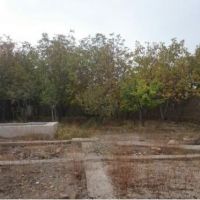 باغ در باغ محله گلبهار مشهدفروش و معاوضه