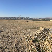 زمین کشاورزی