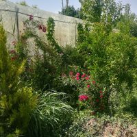 600 متر باغ در روستای قلعه آذری