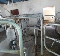 گاوداری صنعتی با سند و دارای دو پروانه چاه آب فروشی