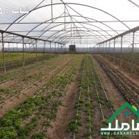 فروش گلخانه مجهز با پروانه در ماهدشت