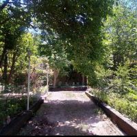 باغ رویایی در تهران