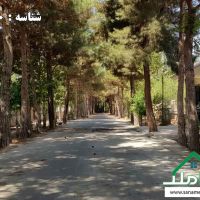 خرید و فروش زمین در زیبادشت محمدشهر