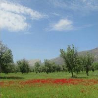 4500 متر زمین بین راهی شیراز.کازرون