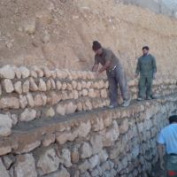 زمین باغ و تولیدی در شیراز
