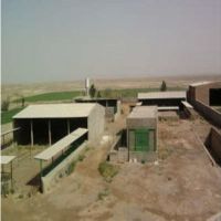 گاوداری100 راسی شیری 3 هکتار