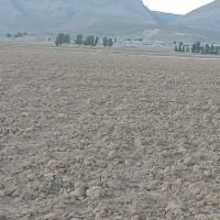 عباس میردادیان