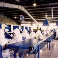 فروش کارخانه سلولوزی دستمال کاغذی اصفهان