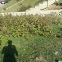 زمین در کلاردشت رودبارک  640 متر | مازندران، کلاردشت