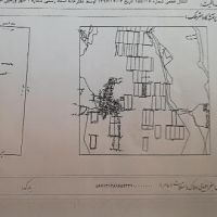 فروش ۵۰۰۰ متر زمین کشاورزی در ورامین | تهران