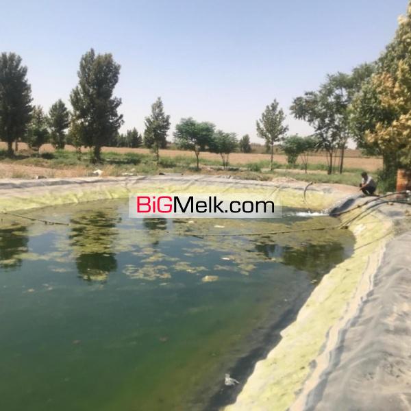 فروش گاوداری ورامین