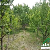 فروش باغچه 4 دیوار در قطعات مختلف در لم آباد