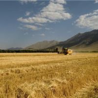 فروش زمین کشاورزی