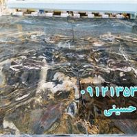 تولید و عرضه کننده انواع سنگ ساختمانی