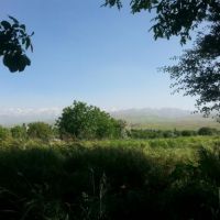 12 هکتار کارخانه خوراک دام و زمین زراعی همدان