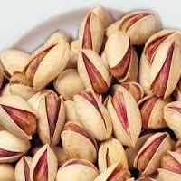 فروش نهال پسته