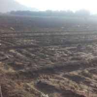فروش زمین کشاورزی اصفهان دارای آب رودخانه مسطح