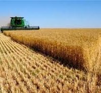 فروش زمین کشاورزی