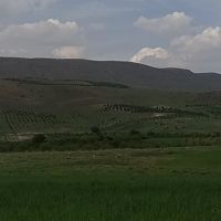 فروش باغ تجاری-تفریحی سیب در بهشت ایران (پادنا)