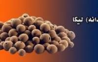 فروش پوکه صنعتی در مشهد