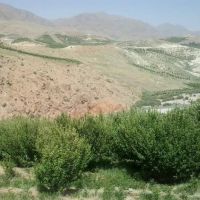 فروش باغ سیب در پادنا.اصفهان-سمیرم