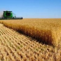 فروش 2500 هکتار زمین کشاورزی