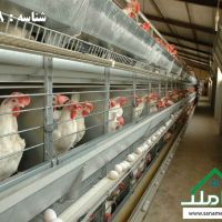 فروش مرغداری همراه با ویلا و امکانات در ماهدشت