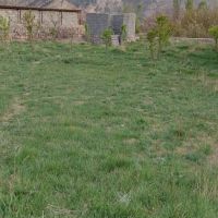 زمین درجه یک ۹۰۰ متر در رینه
